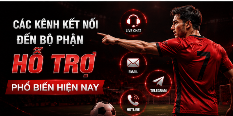Bộ phận hỗ trợ phổ biến hiện nay