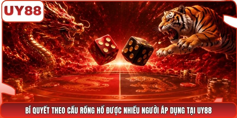 Bí quyết theo cầu Rồng Hổ được nhiều người áp dụng tại UY88