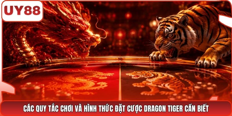 Các quy tắc chơi và hình thức đặt cược Dragon Tiger cần biết