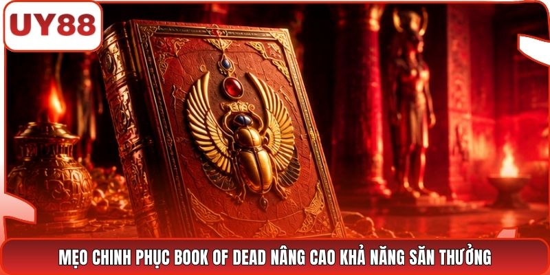 Mẹo chinh phục Book of Dead nâng cao khả năng săn thưởng