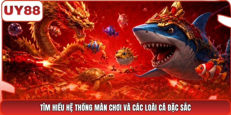 Tìm hiểu hệ thống màn chơi và các loài cá đặc sắc