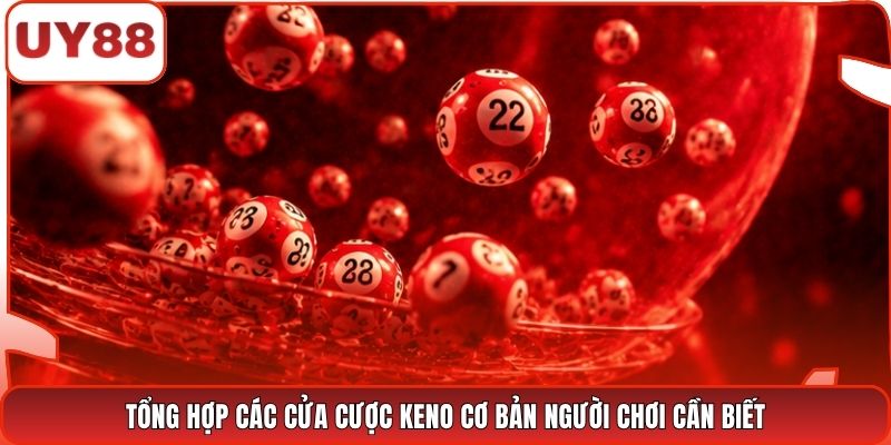 Tổng hợp các cửa cược Keno cơ bản người chơi cần biết